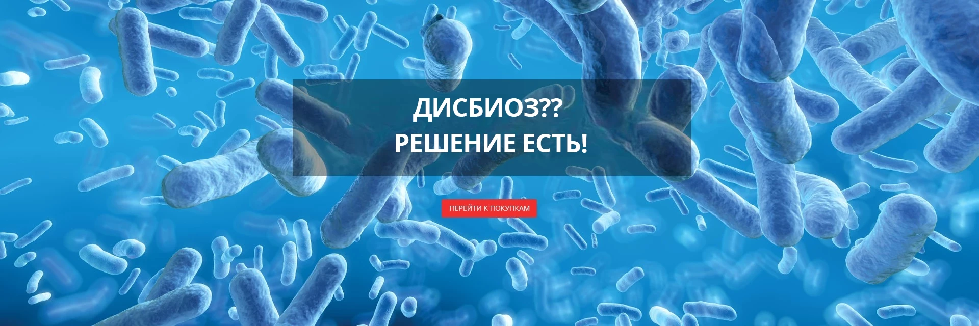 Пробиотик
